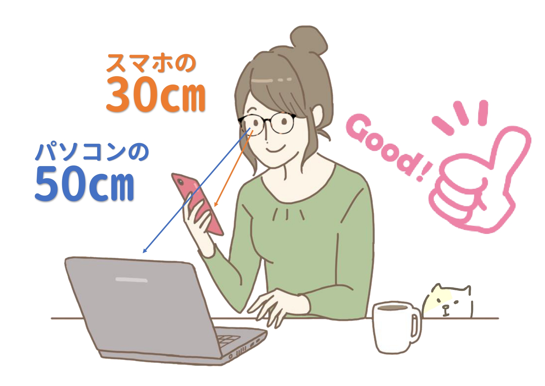 30㎝＆50㎝