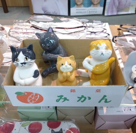 スクリーンショット_16-3-2025_175338_www.instagram.com_