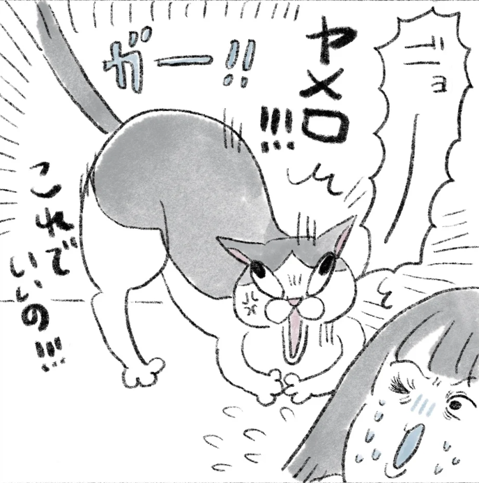 スクリーンショット 2025-12-22 154358